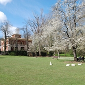 Museu dels Volcans